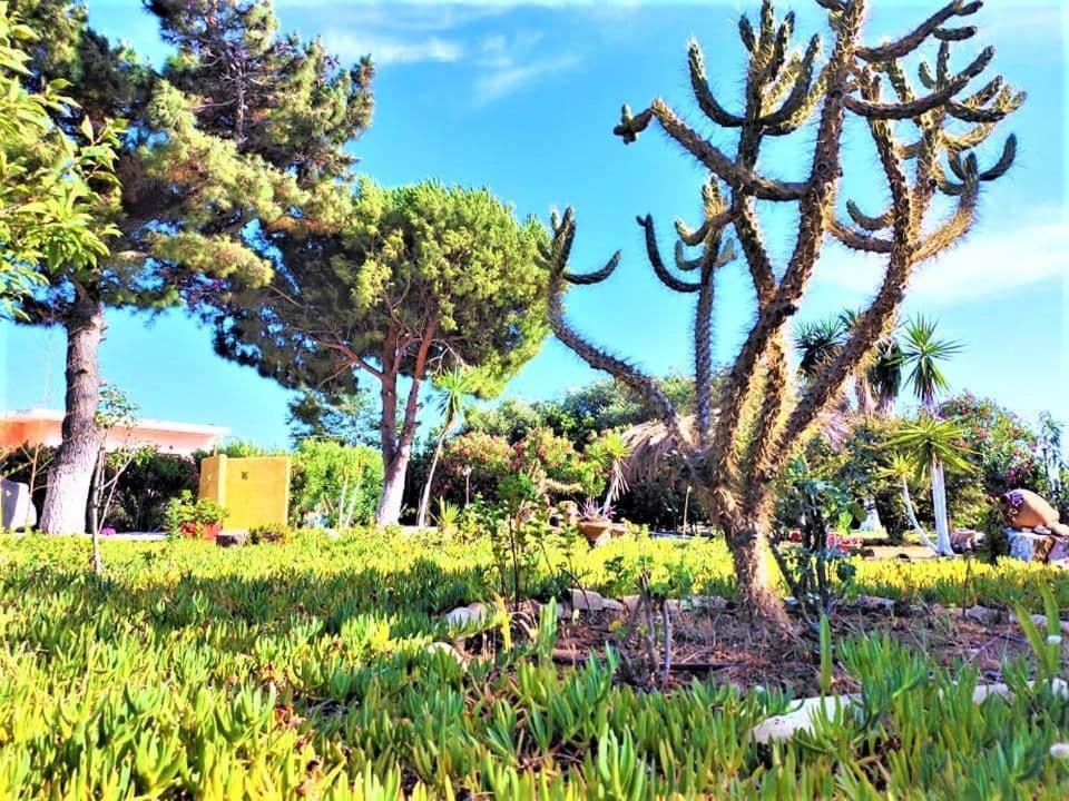 Tetraktys Estate Beachside Υδωρ Agios Matthaios  Екстер'єр фото