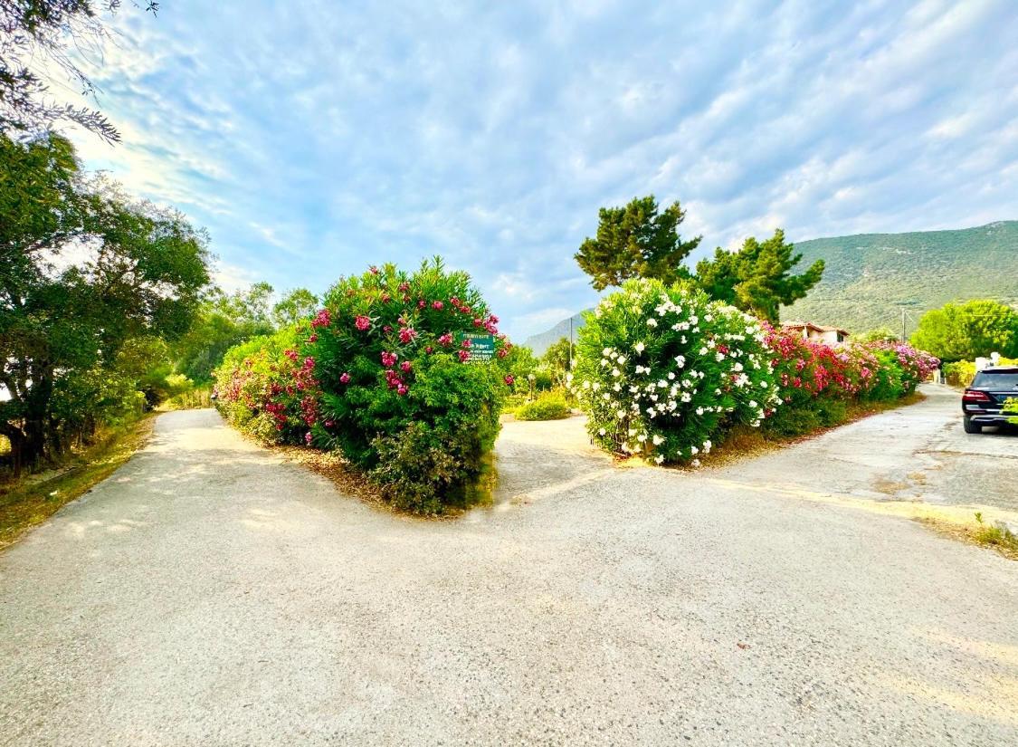 Tetraktys Estate Beachside Υδωρ Agios Matthaios  Екстер'єр фото