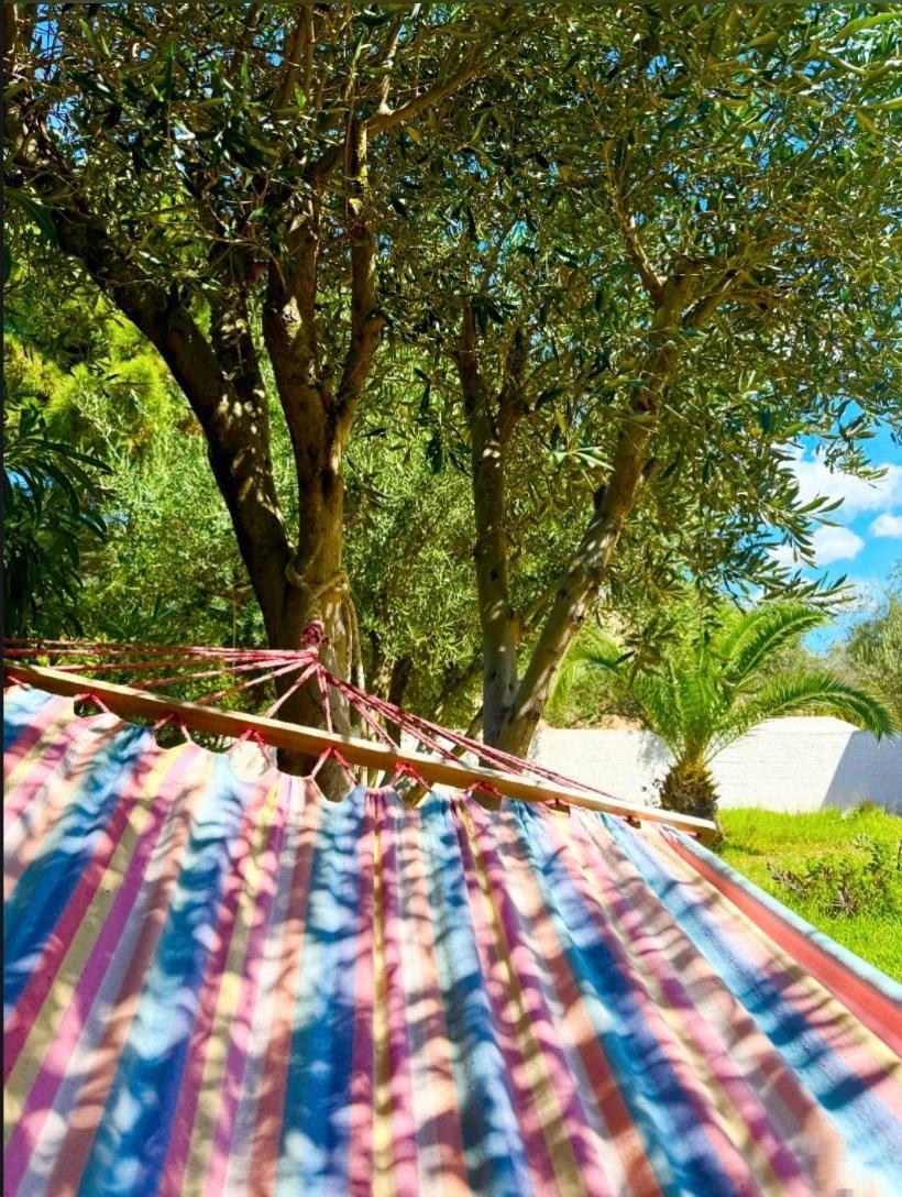 Tetraktys Estate Beachside Υδωρ Agios Matthaios  Екстер'єр фото